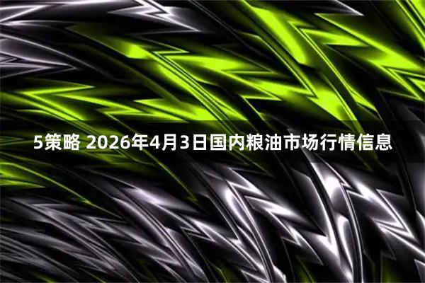 5策略 2026年4月3日国内粮油市场行情信息