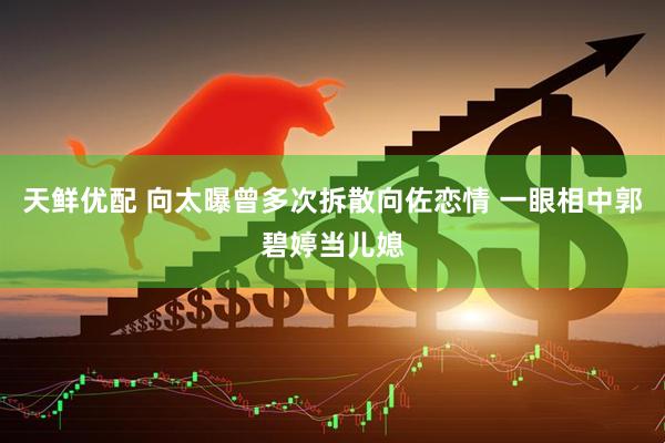 天鲜优配 向太曝曾多次拆散向佐恋情 一眼相中郭碧婷当儿媳